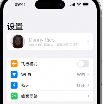 安图appleID维修服务iPhone设置中Apple ID显示为灰色无法使用