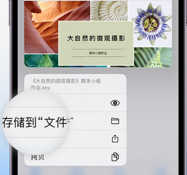 安图apple维修中心分享iPhone文件应用中存储和找到下载文件