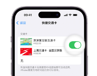 安图apple维修点分享iPhone上更换Apple Pay快捷交通卡手绘卡面 