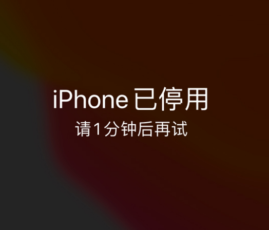 安图苹果手机维修分享:iPhone 显示“不可用”或“已停用”怎么办？还能保留数据吗？ 