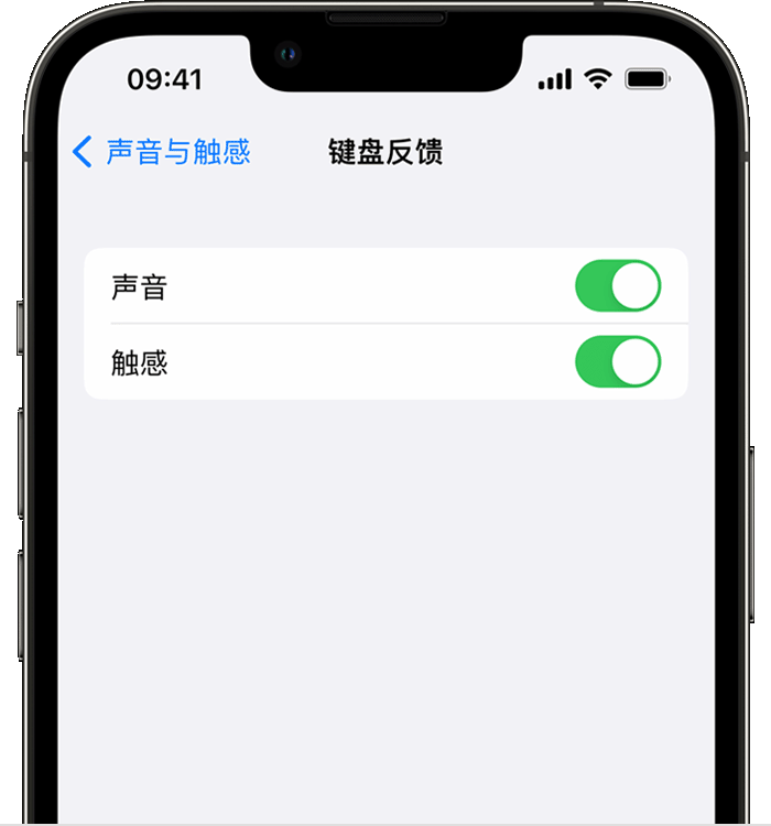 安图苹果14维修店分享如何在 iPhone 14 机型中使用触感键盘 