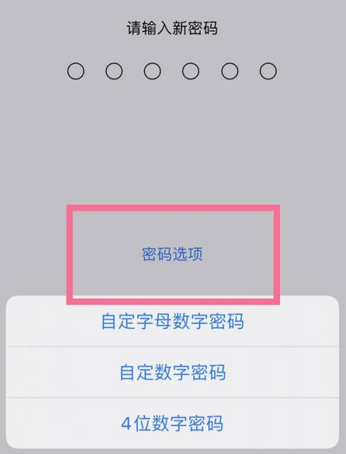 安图苹果14维修分享iPhone 14plus设置密码的方法 