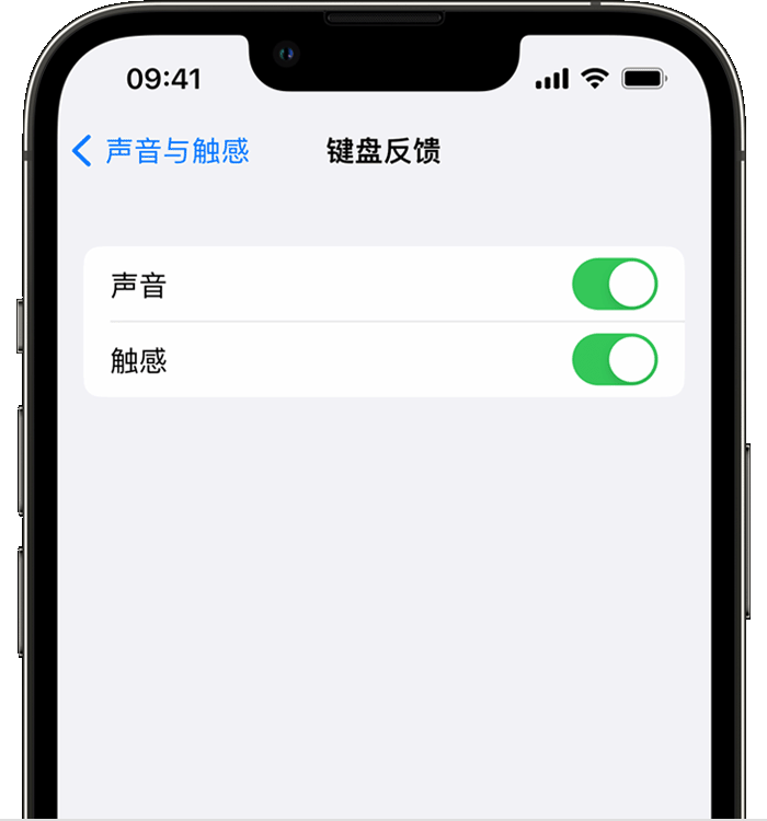 安图苹果14维修分享iPhone 14 系列机型如何开启键盘声音或触感反馈 