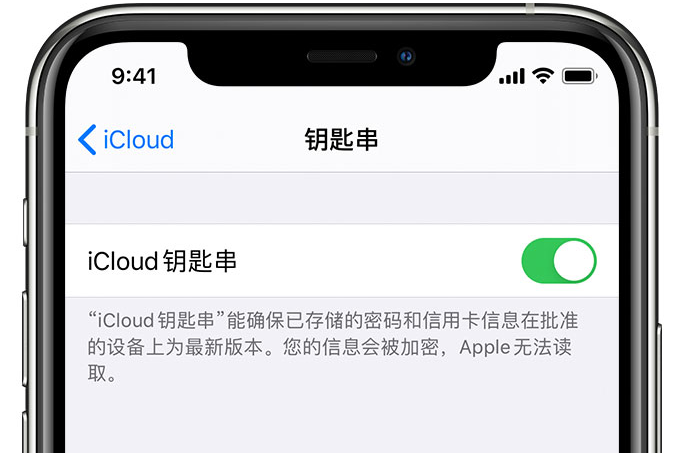 安图苹果手机维修分享在 iPhone 上开启 iCloud 钥匙串之后会储存哪些信息 