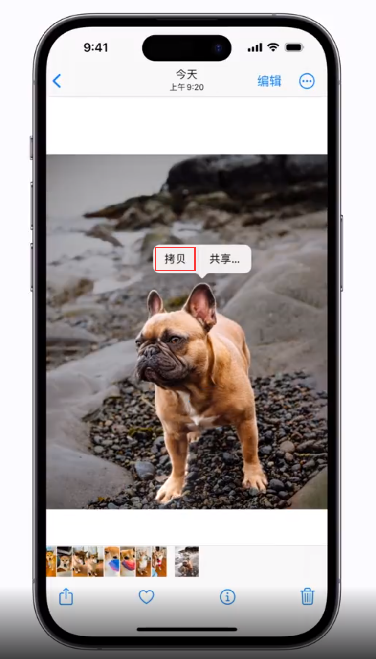 安图苹果手机维修分享 iOS 16 自带一键抠图功能 