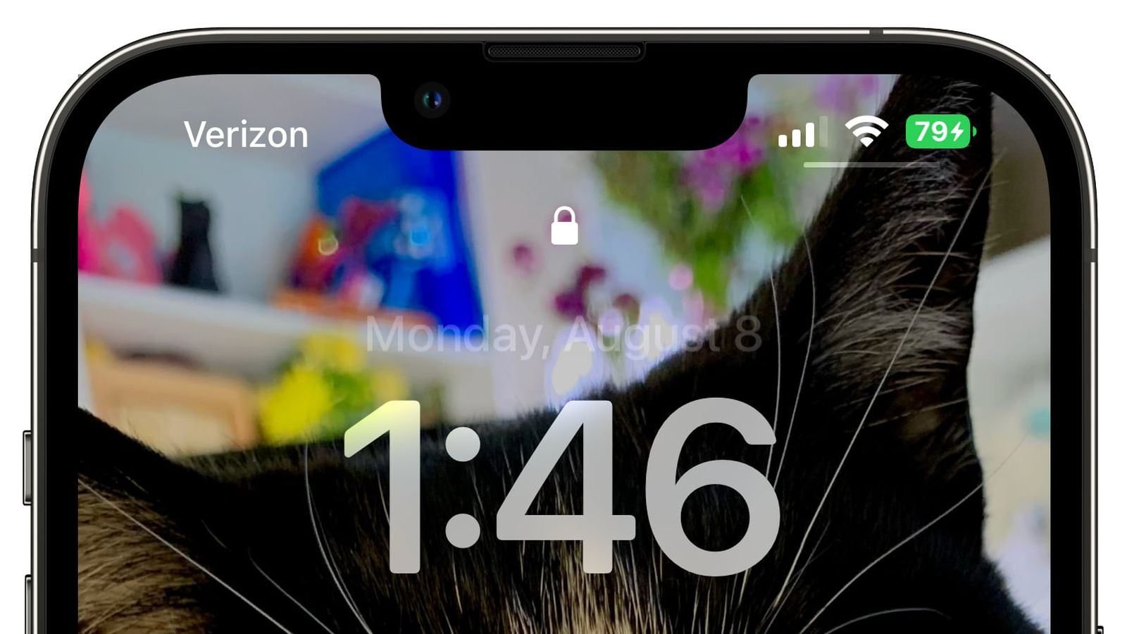 安图苹果手机维修分享iOS 16 beta 5 支持状态栏显示电池百分比，如何开启？支持哪些机型 