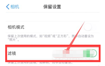 安图苹果13维修分享iPhone13拍照有绿点是怎么回事 