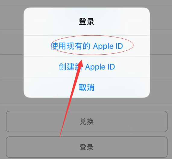 安图苹果手机维修分享两台iPhone设备可以同时登录一个Apple ID吗 