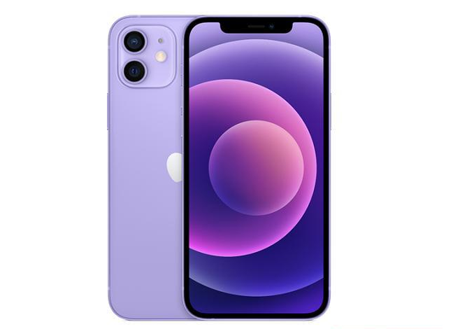 安图苹果手机维修分享现阶段要不要入手紫色版iPhone12 