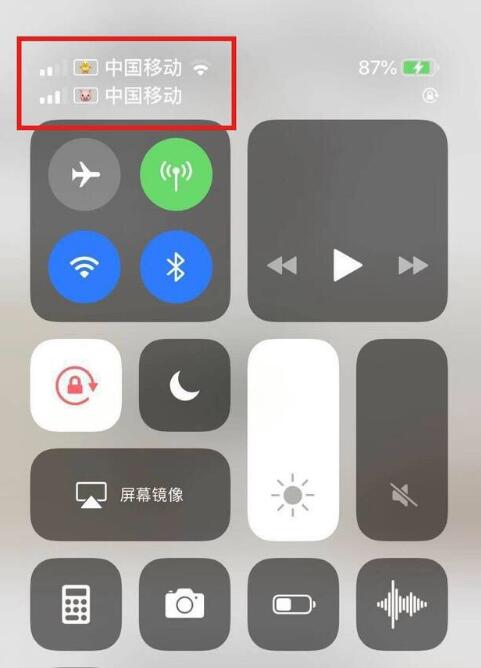 安图苹果手机维修分享为 iPhone 12 双卡设置标签 
