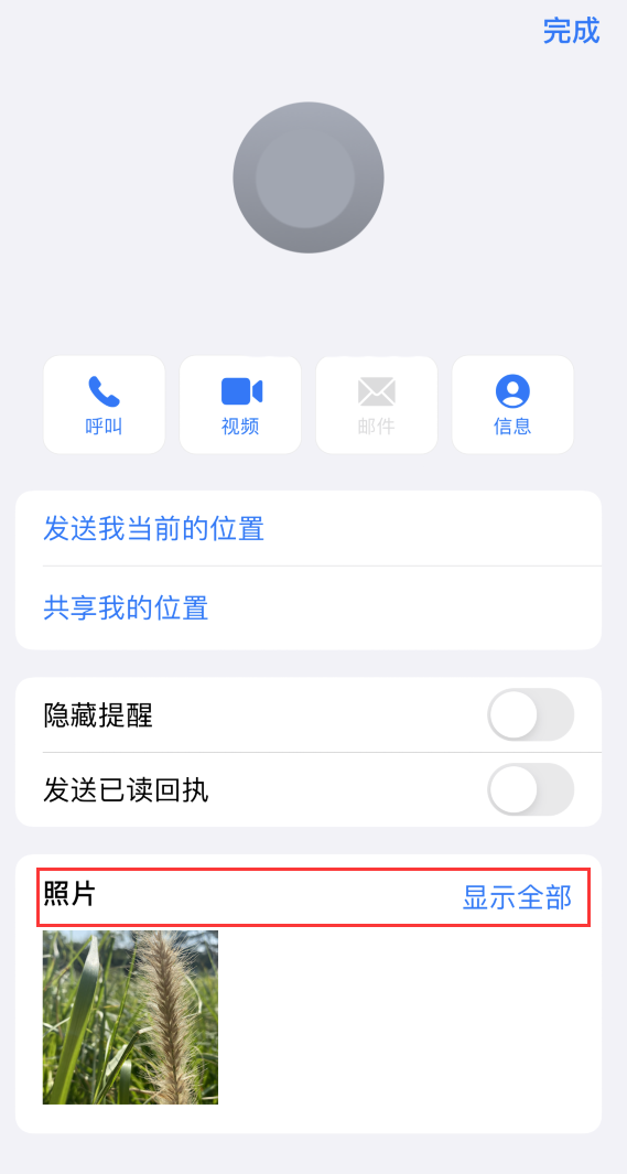 安图苹果手机维修分享如何快速查找 iMessage 信息中的图片等附件 