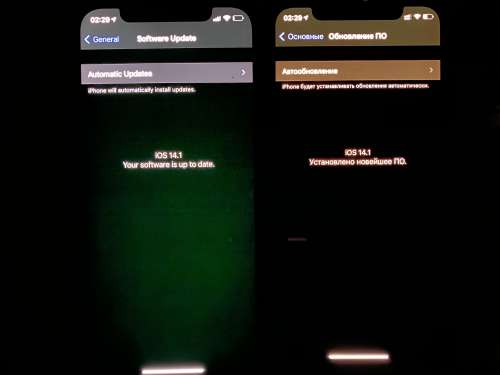 安图苹果手机维修分享iPhone 12 显示黑色画面时发绿光怎么办 